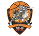 石家庄翔蓝logo